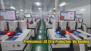 Professional LED Strip Production: Die Bonding Workshop